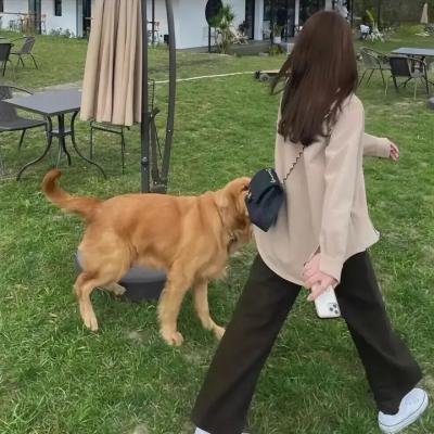 禁恋海报